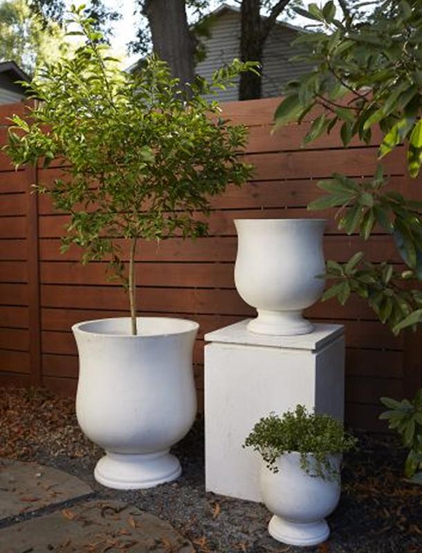 Pots & Planters