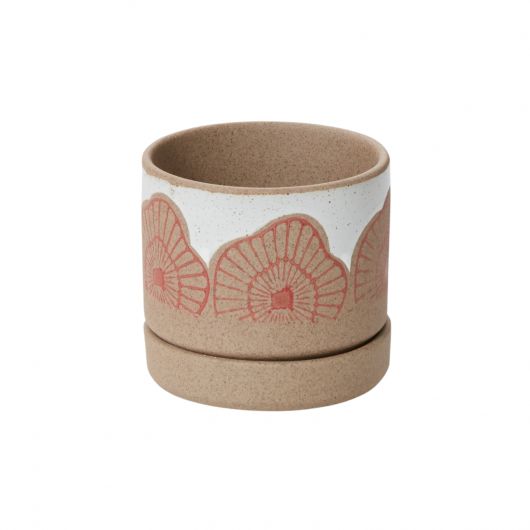 The Champignon Pot is perfect for a 3" or 4.5" drop in plant. Pot with drainage hole and saucer. Mushroom design. Tropical houseplants. Spider plant, Protea pot. instant, ceramic pot, pots with saucers, repot into bigger pot, grow, houseplant pot, houseplant pot, tree, soil, health and wellness, plant gift idea, home decor, coastal decor, luxury home decor,plant community, we love plants