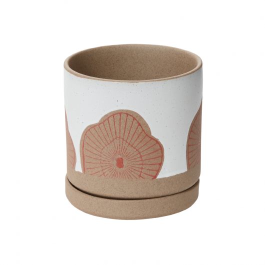 The Champignon Pot is perfect for a 3" or 4.5" drop in plant. Pot with drainage hole and saucer. Mushroom design. Tropical houseplants. Spider plant, Protea pot. instant, ceramic pot, pots with saucers, repot into bigger pot, grow, houseplant pot, houseplant pot, tree, soil, health and wellness, plant gift idea, home decor, coastal decor, luxury home decor,plant community, we love plants
