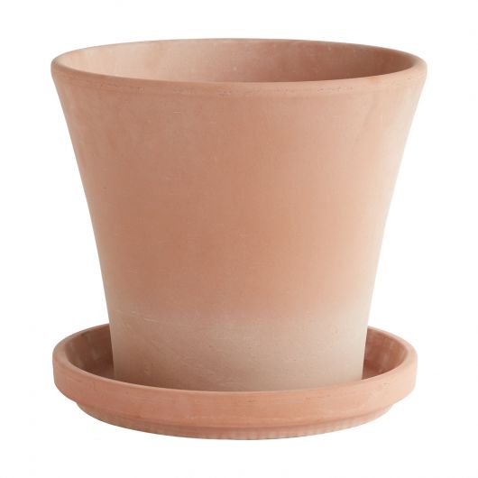 The terracotta clay Cathern pot has a drainage hole, and saucer. It has been designed for outdoor use. **Plants are sold separately** Tropical houseplants. Spider plant, earthen pot. instant, repot into bigger pot, grow, houseplant pot, houseplant pot, tree, soil, health and wellness, plant gift idea, home decor, coastal decor, luxury home decor.