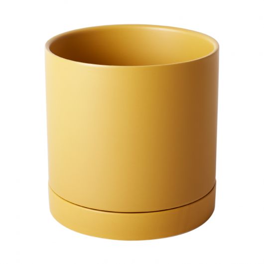 Jòn Abriko Pot