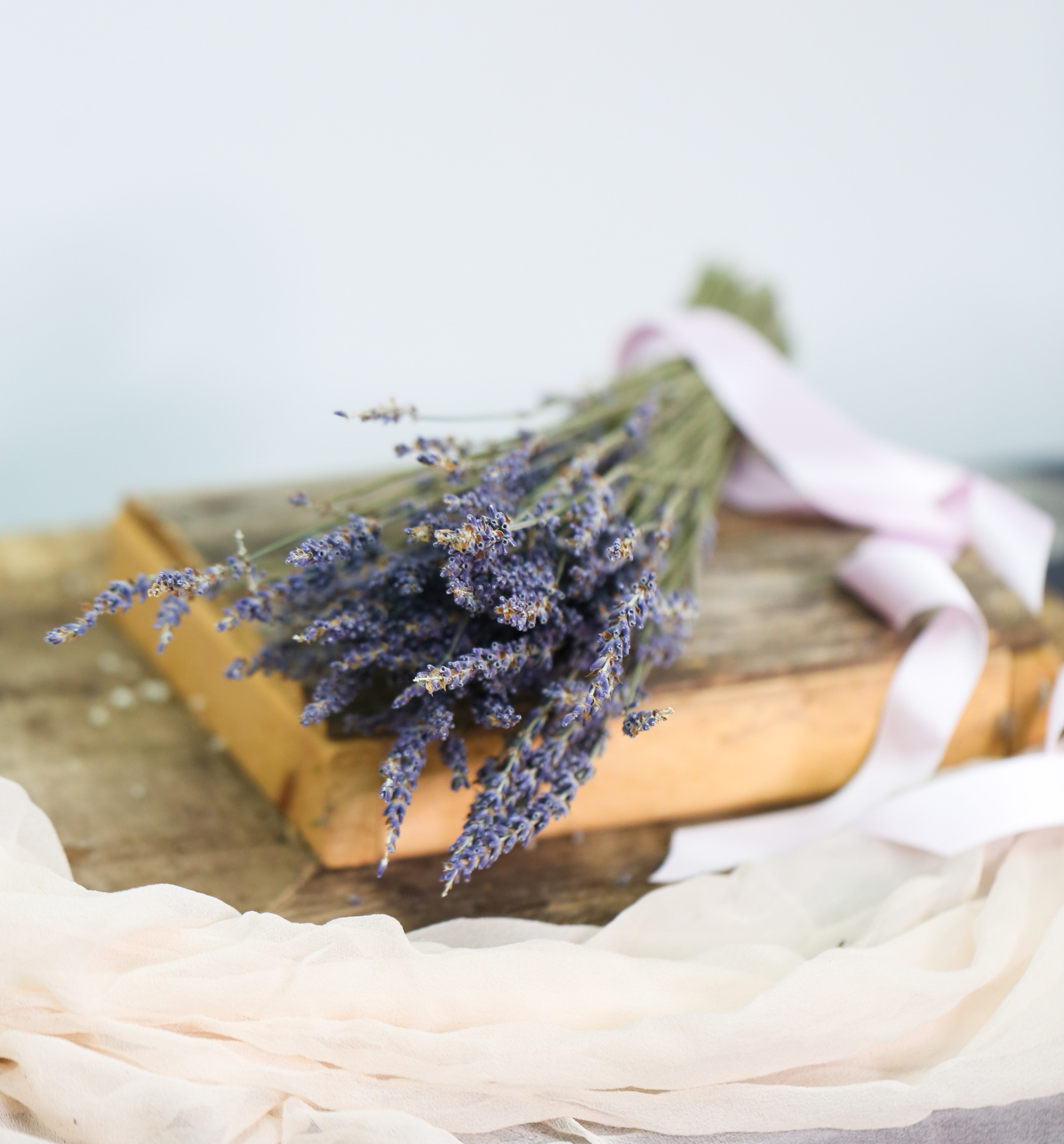 dried lavender flower Natural Dried Lavender NYC
