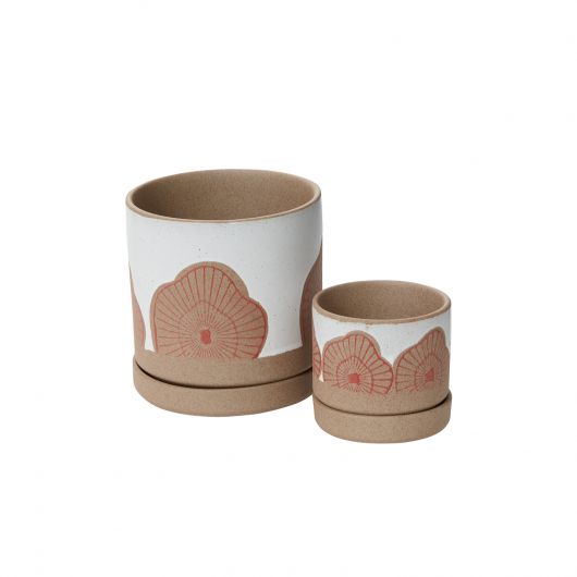 The Champignon Pot is perfect for a 3" or 4.5" drop in plant. Pot with drainage hole and saucer. Mushroom design. Tropical houseplants. Spider plant, Protea pot. instant, ceramic pot, pots with saucers, repot into bigger pot, grow, houseplant pot, houseplant pot, tree, soil, health and wellness, plant gift idea, home decor, coastal decor, luxury home decor,plant community, we love plants