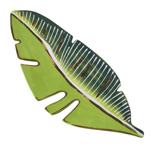 Amazon Dish