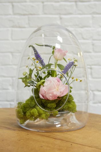 Oval Terrarium