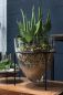Zein Stand Vase
