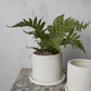 Eston Pot