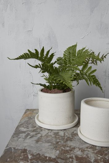 Eston Pot