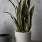 Eston Pot