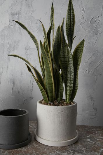 Eston Pot