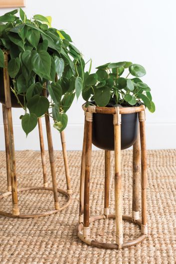 The Bouche Plant Stand elevates your plant with a metal pot that drops into a rattan base. Tropical houseplants. Spider plant, boca plant stand. instant, repot into bigger pot, grow, houseplant pot, houseplant pot, tree, soil,  health and wellness, plant gift idea, home decor, coastal decor, luxury home decor. 