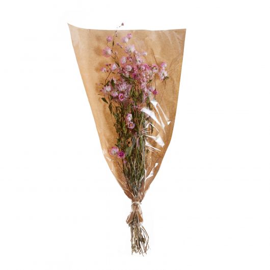 Pink Rodanthe