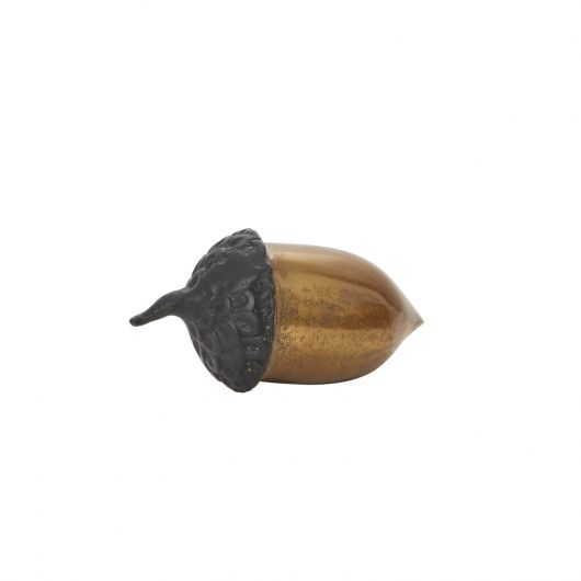 Citrouille d'Or