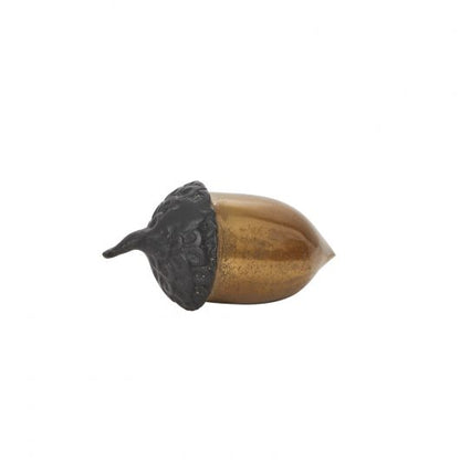 Citrouille d'Or