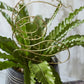Paradise Plant Stick