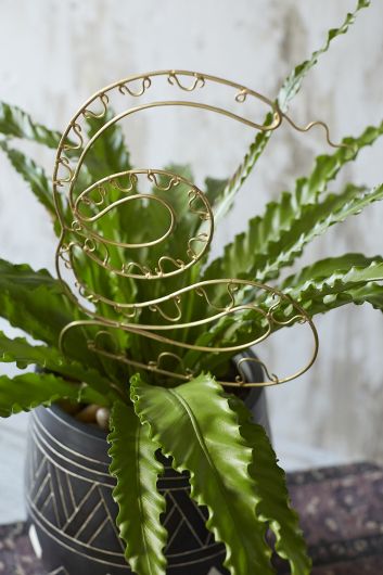 Paradise Plant Stick