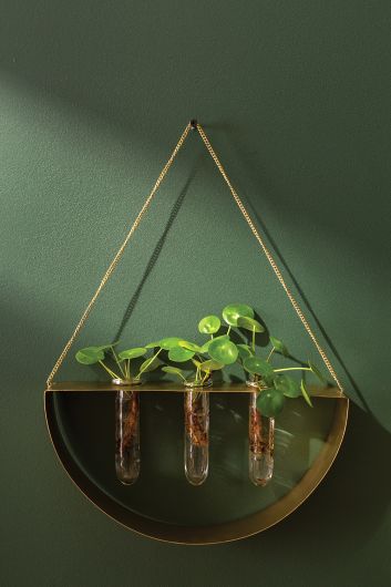 Aron Propagation Hanger