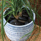 Add some personality to your home or office with this Brille Pot! It's made by hand and features a unique patterned textured design. Plus, it comes in a beautiful blue color with white glaze. Tropical houseplants. Spider plant, Jupiter pot. instant, repot into bigger pot, grow, houseplant pot, houseplant pot, tree, soil,  health and wellness, plant gift idea, home decor, coastal decor, luxury home decor