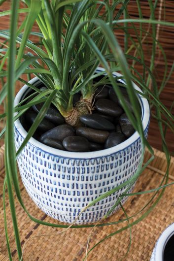 Add some personality to your home or office with this Brille Pot! It's made by hand and features a unique patterned textured design. Plus, it comes in a beautiful blue color with white glaze. Tropical houseplants. Spider plant, Jupiter pot. instant, repot into bigger pot, grow, houseplant pot, houseplant pot, tree, soil,  health and wellness, plant gift idea, home decor, coastal decor, luxury home decor