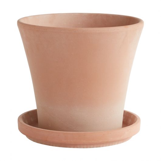 The terracotta clay Cathern pot has a drainage hole, and saucer. It has been designed for outdoor use. **Plants are sold separately**  Tropical houseplants. Spider plant, earthen pot. instant, repot into bigger pot, grow, houseplant pot, houseplant pot, tree, soil,  health and wellness, plant gift idea, home decor, coastal decor, luxury home decor. 