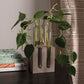 Test Tube Vase Stand
