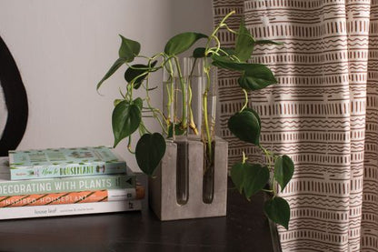 Test Tube Vase Stand