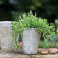 Antique Vase