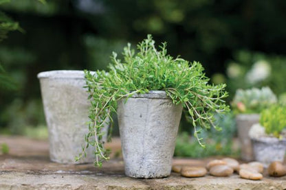 Antique Vase