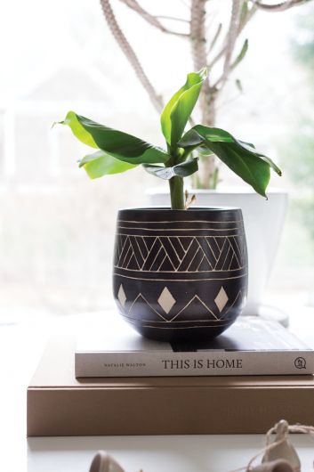 bamba aztec repot african inspired pot