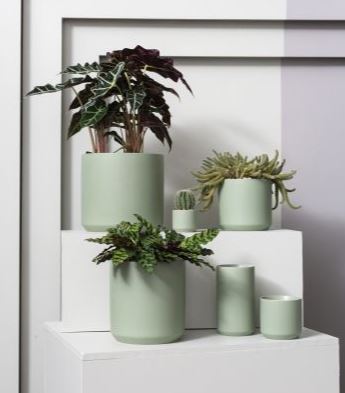 Simplicité Pot