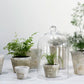 Antique Vase
