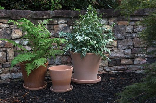 The terracotta clay Cathern pot has a drainage hole, and saucer. It has been designed for outdoor use. **Plants are sold separately**  Tropical houseplants. Spider plant, earthen pot. instant, repot into bigger pot, grow, houseplant pot, houseplant pot, tree, soil,  health and wellness, plant gift idea, home decor, coastal decor, luxury home decor. 