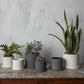 Eston Pot