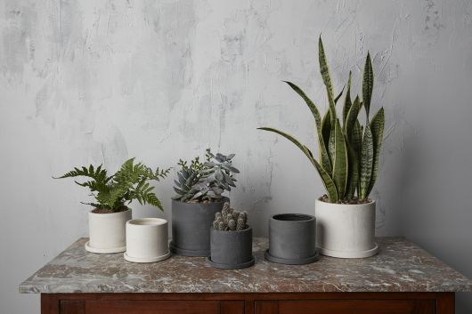 Eston Pot