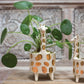 Jiraf Vase