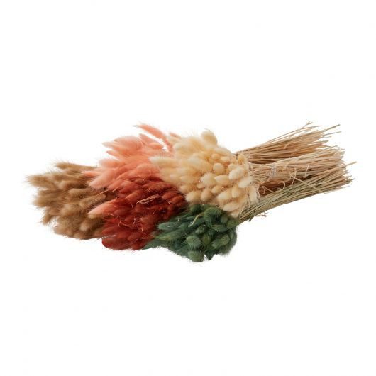 Pink Hare's-Tail Grass
