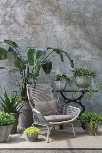 Chelsea Grey Compote is a sleek modern pot that can be styled indoors or outdoors. It's a great addition to your home or office. The pot is constructed out of mixed fibers and concrete. Tropical houseplants. Spider plant, Delray footed pot. instant, ceramic pot, pots with saucers, repot into bigger pot, grow, houseplant pot, houseplant pot, tree, soil,  health and wellness, plant gift idea, home decor, coastal decor, luxury home decor,plant community, we love plants