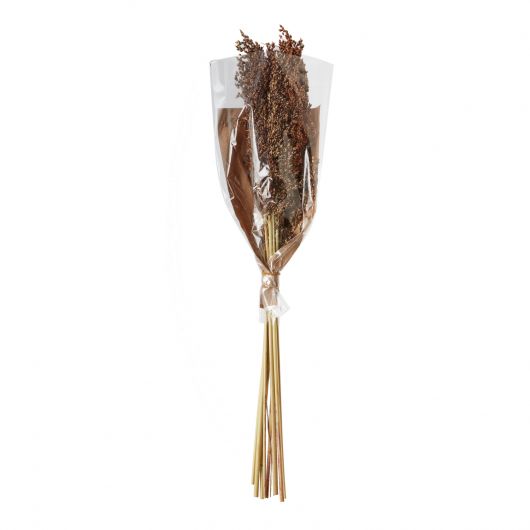Dried Panicum