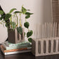 Test Tube Vase Stand