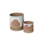 The Champignon Pot is perfect for a 3" or 4.5" drop in plant. Pot with drainage hole and saucer. Mushroom design. Tropical houseplants. Spider plant, Protea pot. instant, ceramic pot, pots with saucers, repot into bigger pot, grow, houseplant pot, houseplant pot, tree, soil,  health and wellness, plant gift idea, home decor, coastal decor, luxury home decor,plant community, we love plants