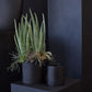 Indigo Pot