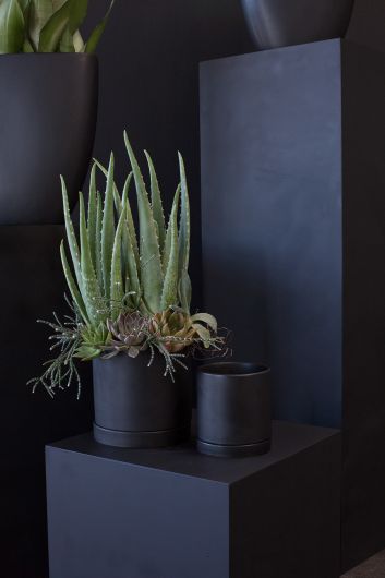 Indigo Pot